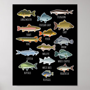 Arten von Süßwasserfischarten Angeln Poster
