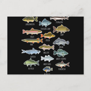 Arten von Süßwasserfischen Feiertagspostkarte