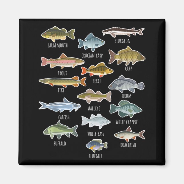Arten von Süßwasserfischen Magnet (Vorne)