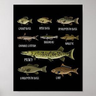 Arten von Süßwasserfischen Sorten Arten Angeln Poster