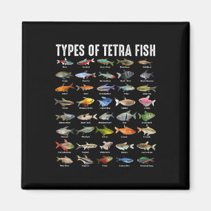 Arten von Tetra-Fischen - Tetra Aquarium Fischarte Magnet