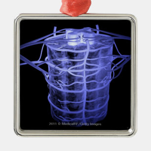 Arterien, die Teil der Wirbelsäule umgeben Silbernes Ornament