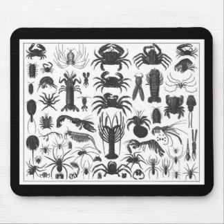 Arthropoda: Spinnen, Krabben, Muster der Hummer Mousepad