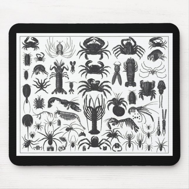Arthropoda: Spinnen, Krabben, Muster der Hummer Mousepad (Vorne)