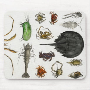 Arthropoden Mousepad