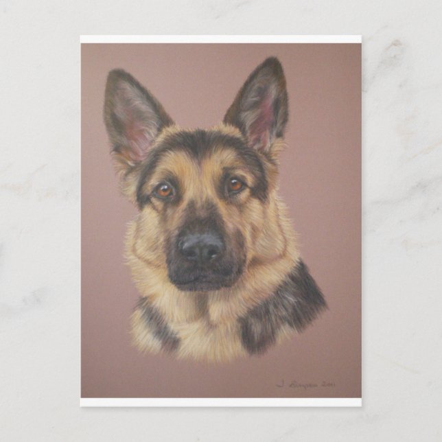 Arthur - Deutscher Schäferhund Postkarte (Vorderseite)