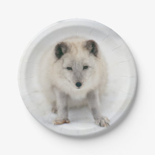 Artic Fox Pappteller