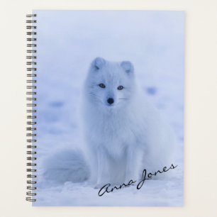 Artic Fox Planer