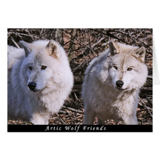 Artic Wolf Buddies