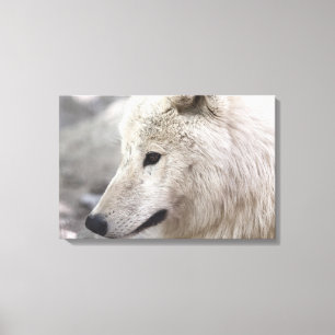 Artic Wolf Lovers Leinwanddruck