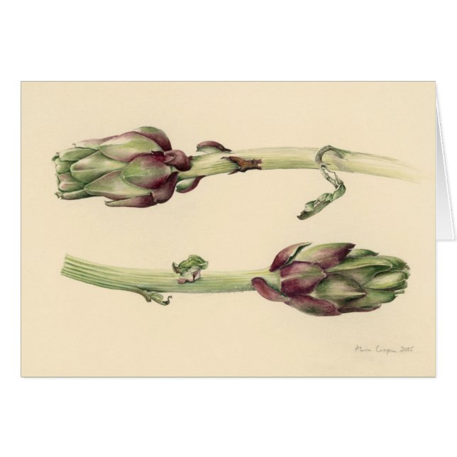 Artichauts 2005 (Devant horizontal)