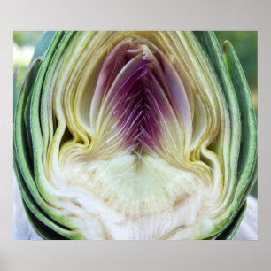 Artichoke Heart Canvas Print Poster