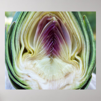 Artichoke Heart Canvas Print Poster