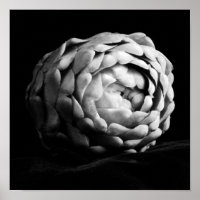 Artichoke Nahe Schwarz-Weiß-Fotografie