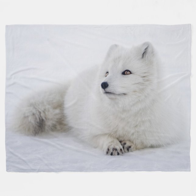 ARTIKEL FOX FLEECEDECKE (Vorderseite (Horizontal))
