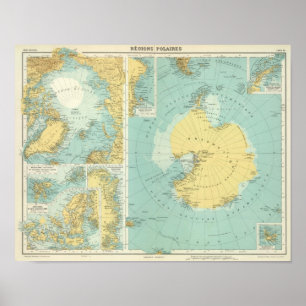 Artis, Antarktis Poster