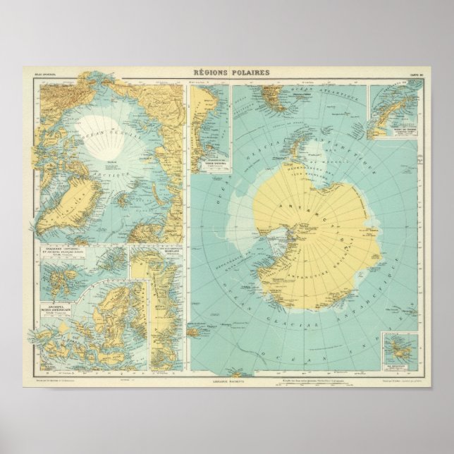 Artis, Antarktis Poster (Vorne)