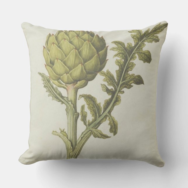 Artischocke: Cynara Scolymus, c.1568 Kissen (Vorderseite)
