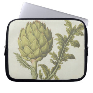 Artischocke: Cynara Scolymus, c.1568 Laptopschutzhülle