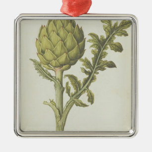 Artischocke: Cynara Scolymus, c.1568 Silbernes Ornament