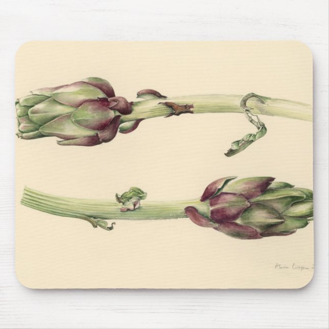 Artischocken 2005 mousepad (Vorne)