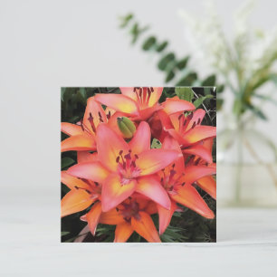 Artisitc Coral Colored Garden Lilies Feiertagskarte