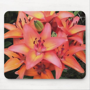 Artisitc Coral Colored Garden Lilies Mousepad