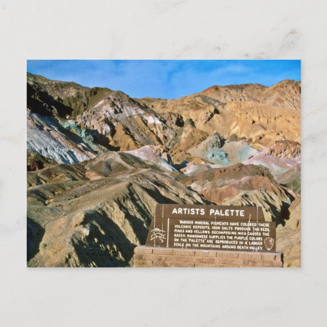 Artist-Palette Postkarte (Vorderseite)