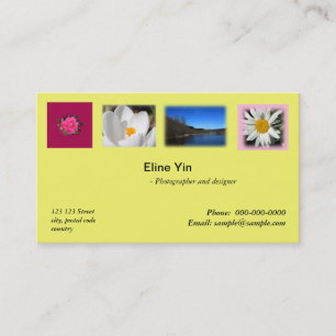 Artiste, photographe, carte de visite zazzler
