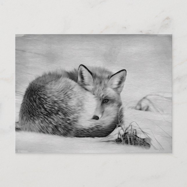 *~* Artistic Animal Red Fox Ap18 Künstlerisch Wild Postkarte (Vorderseite)