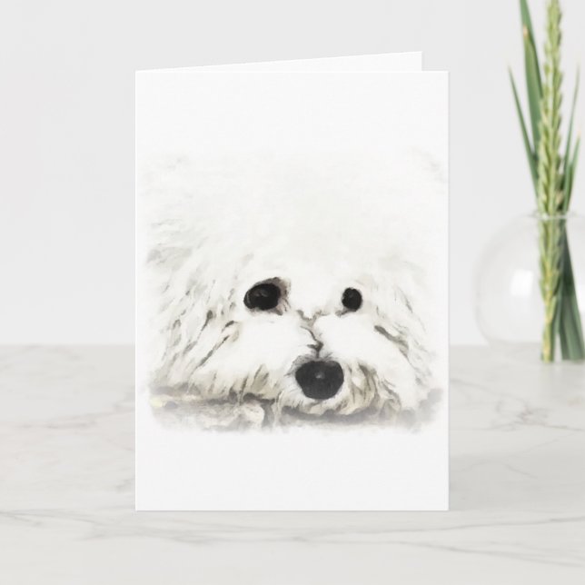 Artistic Bichon head aquarelle Karte (Vorderseite)