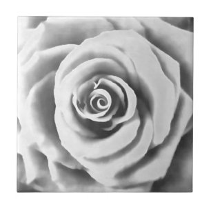 Artistic Big White Rose Fliese
