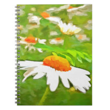 Artistic Bright Colorful White Garden Daisis /5