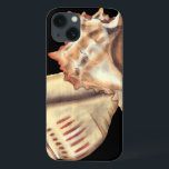 Artistic Conch Shells Case-Mate iPhone Hülle<br><div class="desc">Jennifer Goldberger has an amazing collection of art capturing the gems of the ocean. In this beautiful,  classic neutral color painting,  these two Conch seashells are the main object of the image. Get this nautical styled art on your favorite products today!</div>