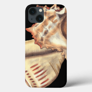 Artistic Conch Shells iPhone 13 Hülle