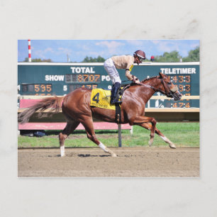 Artistic Drifter - Frankie Pennington Postkarte