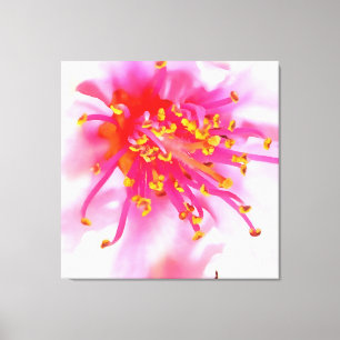Artistic Peach Blossom Macro Abstrakt Leinwanddruck