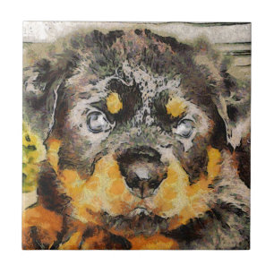 Artistic Rottweiler Puppy Portrait Fliese