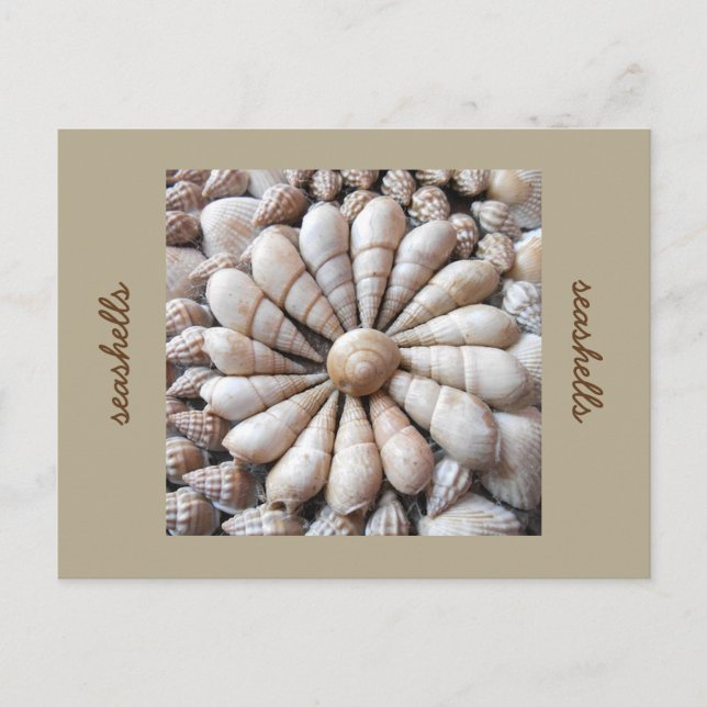 Artistische Seashell Circle Post Card Postkarte (Vorderseite)