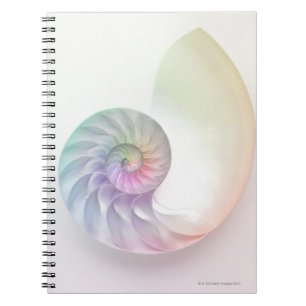 Artistisches Nautilus-Bild Notizblock