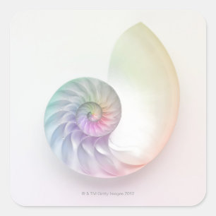 Artistisches Nautilus-Bild Quadratischer Aufkleber