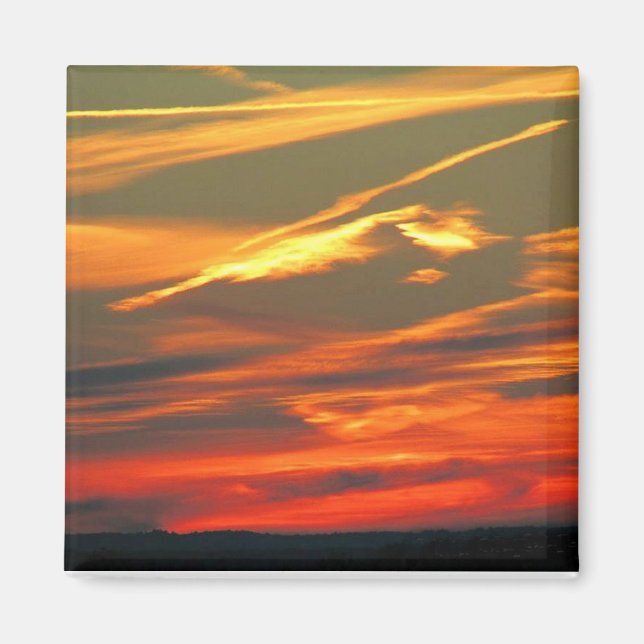 Artwork der Natur Magnet (Vorne)