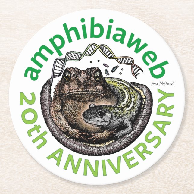 #ArtYourAmphibian2020 - Nina McDonnell Runder Pappuntersetzer (Vorderseite)
