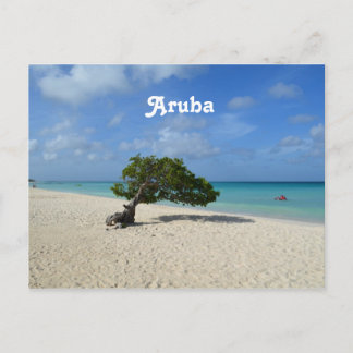 Aruba Divi Divi Tree Postkarte