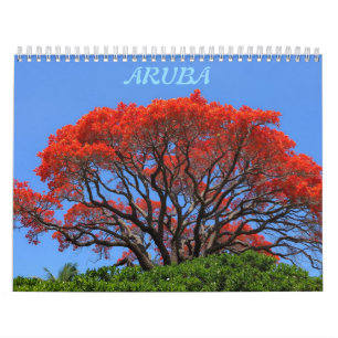 Aruba ein glücklicher Inselkalender Kalender