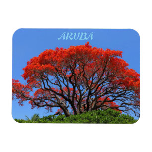 Aruba eine glückliche Insel Magnet