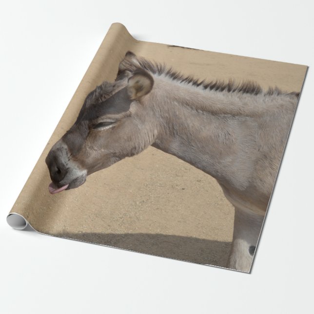 Aruba-Esel Geschenkpapier (Ungerollt)