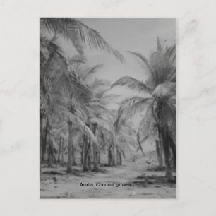Aruba, Kokospalmen Postkarte