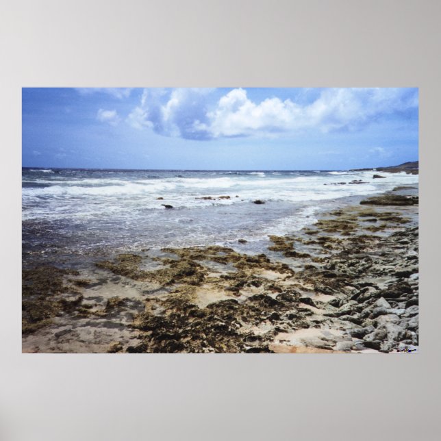 Aruba Rocky Ocean Poster (Vorne)