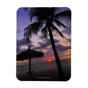 Aruba, Silhouette der Palme und des palapa an Magnet